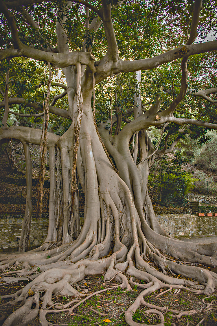 GIARDINO ALL’ITALIANA